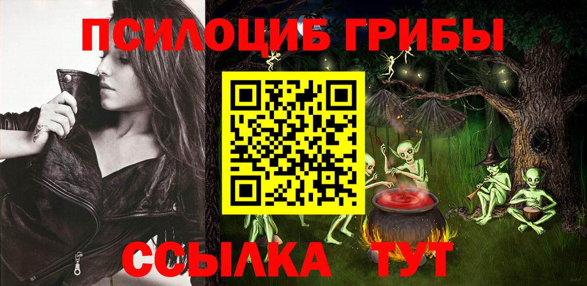 Псилоцибиновые грибы Psilocybe Горно-Алтайск